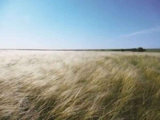 Politnavigator: Сергей Шойгу развеял мифы о своей болезни и «гибели» под Херсоном