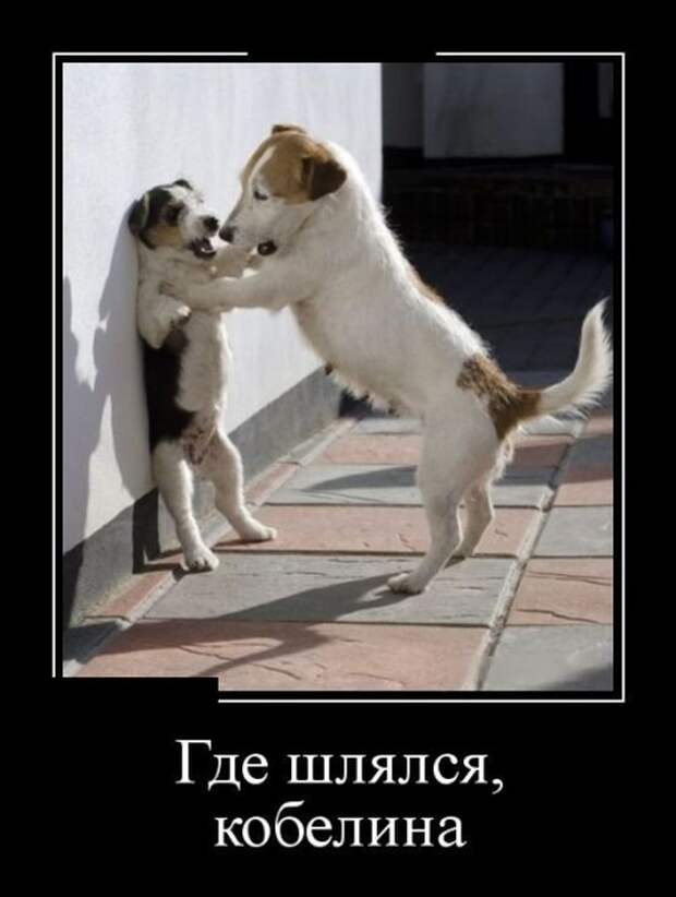 Демотиваторы (30 фото)