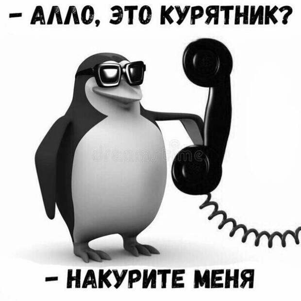 Смешные картинки из соц сетей (27 фото)