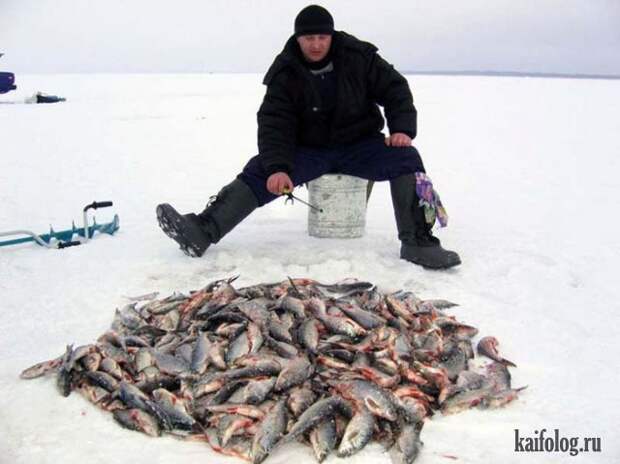 Приколы про рыбаков и рыбалку (50 фото)