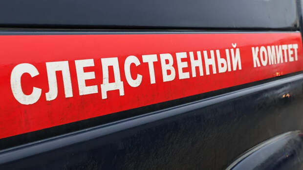 Похищенного сына красноярского бизнесмена нашли на съемной квартире с девушкой