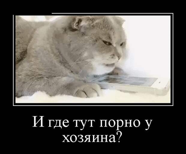 1468566882_18