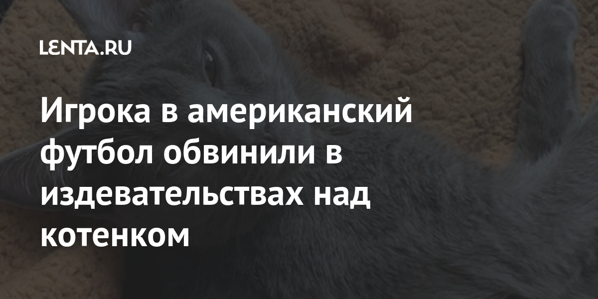 Игрока в американский футбол обвинили в издевательствах над котенком