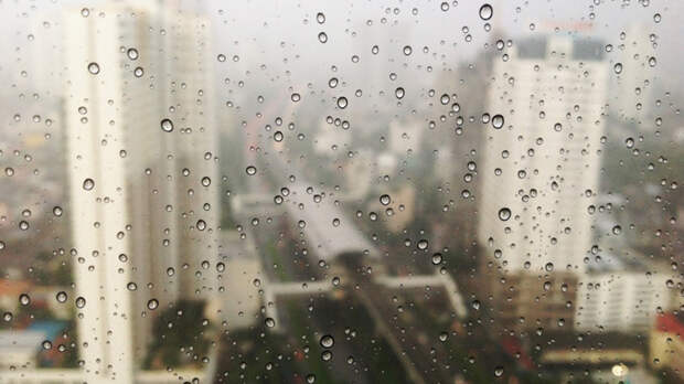 Возможны дожди. О погоде в Алтайском крае 6 мая