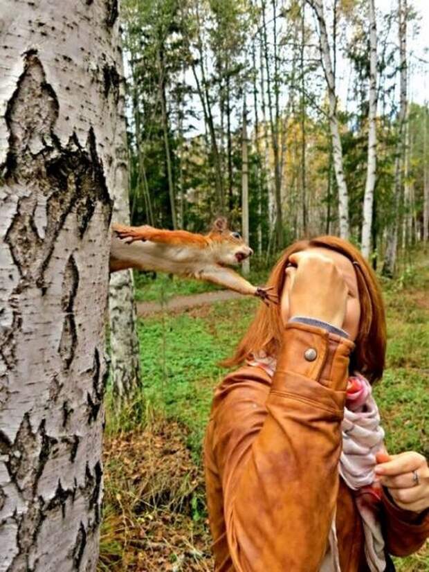 Картиночки