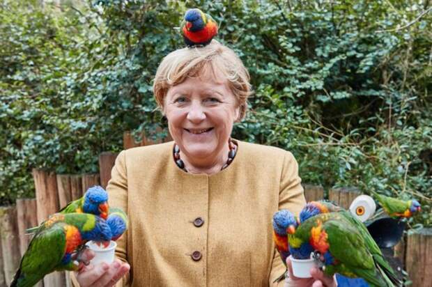Меркель и попугаи накануне ухода.jpg