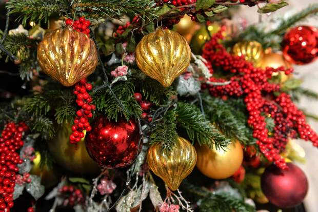 Россиянам отсоветовали отказываться от живых елок из-за насекомых