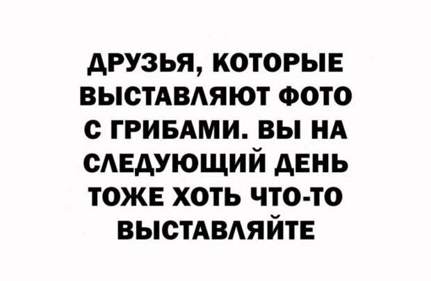 Вот и первые грибочки пошли... Псилоцибиновый юмор о начале сезона