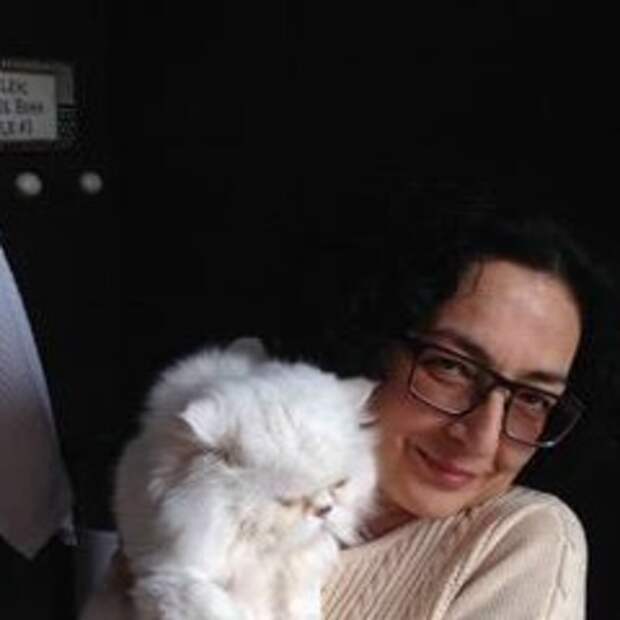 Хохлы не были бы хохлами...