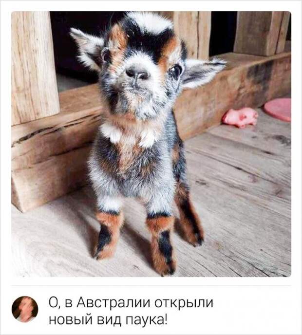 www.vsyako.net