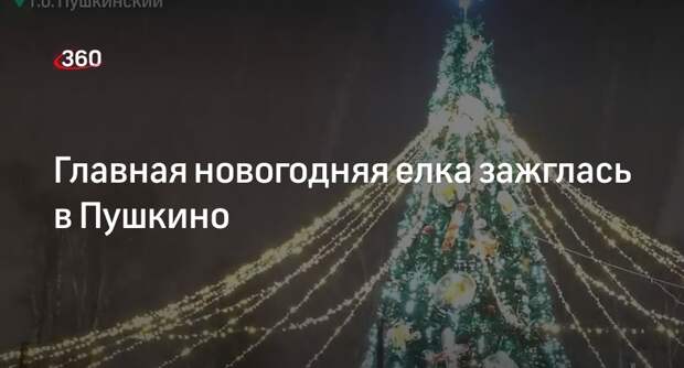 Главная новогодняя елка зажглась в Пушкино
