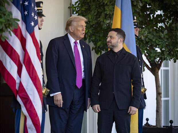 В Европе испугались встречи Зеленского с Трампом