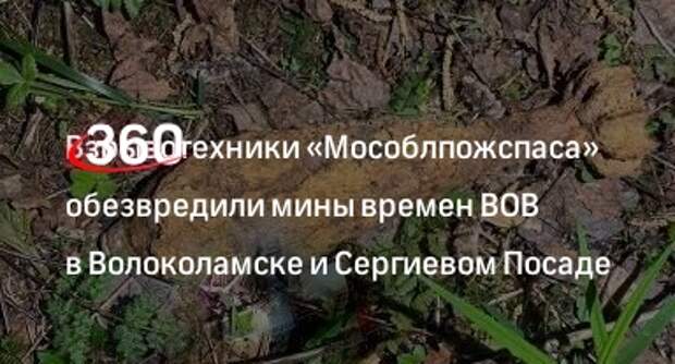 Взрывотехники «Мособлпожспаса» обезвредили мины времен ВОВ в Волоколамске и Сергиевом Посаде