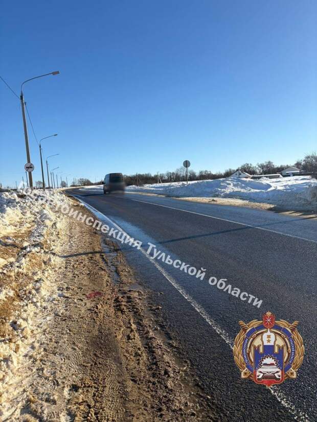 Пенсионер сбил пешехода в Тульской области на трассе Р-132