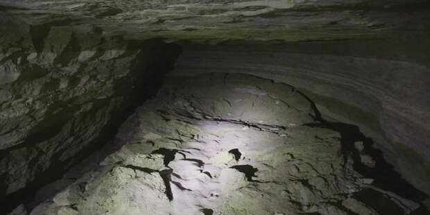 На Сулавеси обнаружена 25000-летняя челюстная кость человека