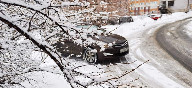РБК: Самозанятых водителей предложили выделить в отдельный вид перевозок