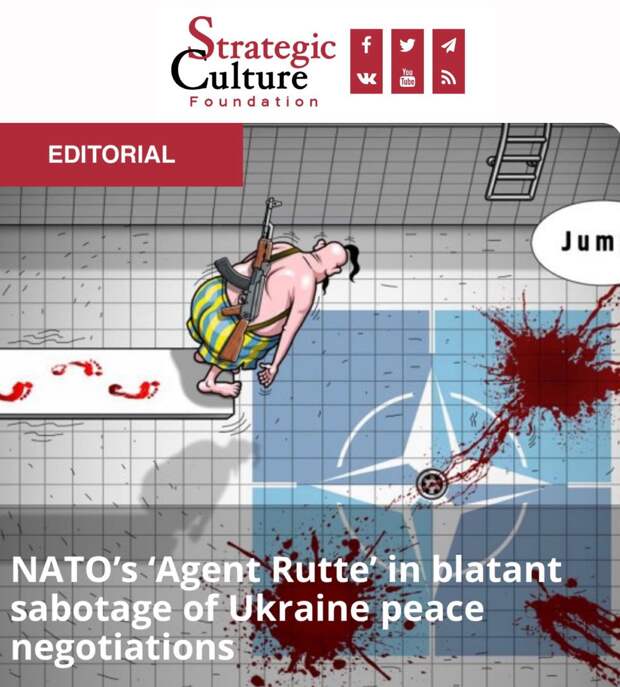 «Агент Рютте из НАТО»: Генсек НАТО Рютте делает все, чтобы  помешать миру на