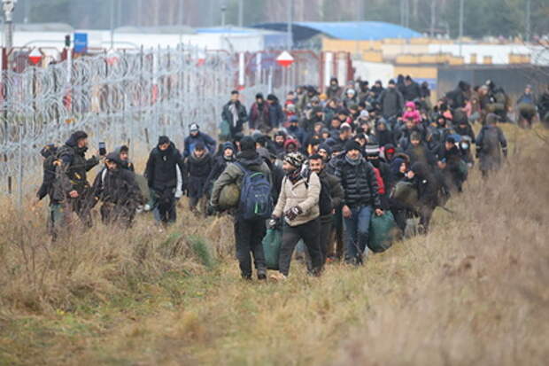 В Белоруссии заявили о прибытии новых беженцев в лагерь мигрантов на белорусско-польской границе