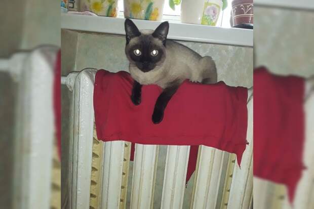 На каких улицах Смоленска снижено давление подачи горячей воды?