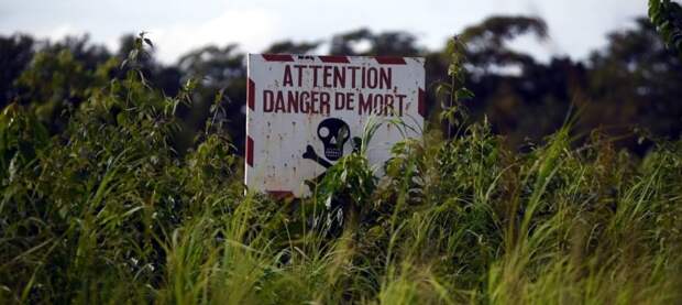 В гибели российских журналистов в ЦАР может быть виновна Франция