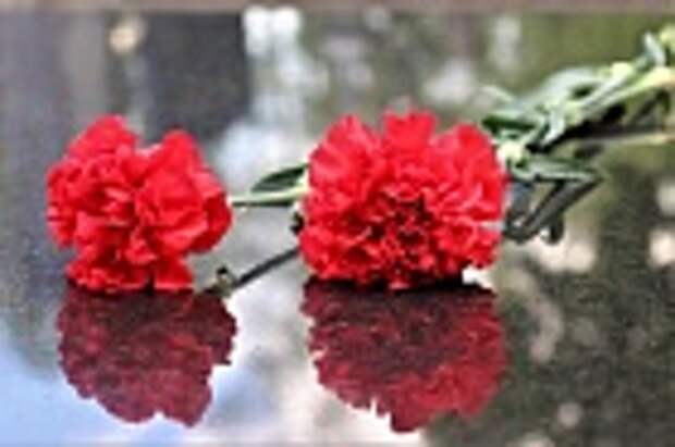 Фото: pixabay.com