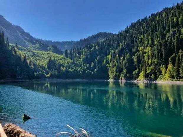 Озеро Малая рица (98 фото) .