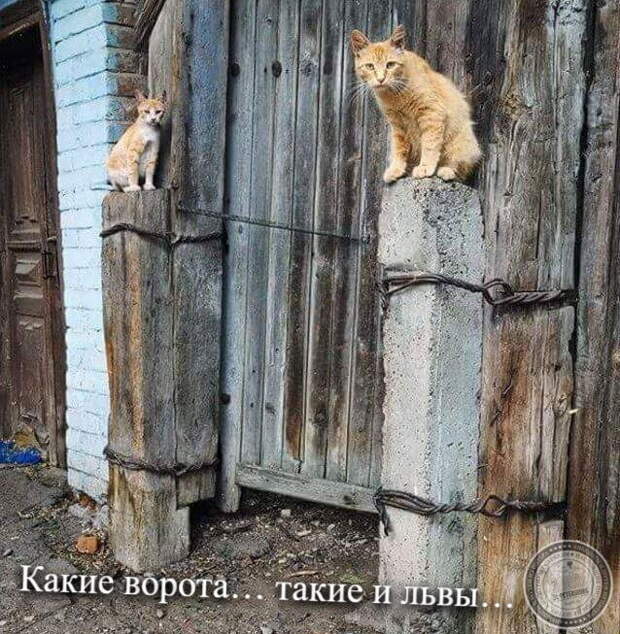 Ворота