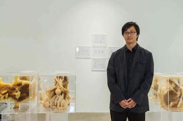 Восковые карты японского пчеловода Восковые карты японского пчеловода воск, карта, пчела, скульптура