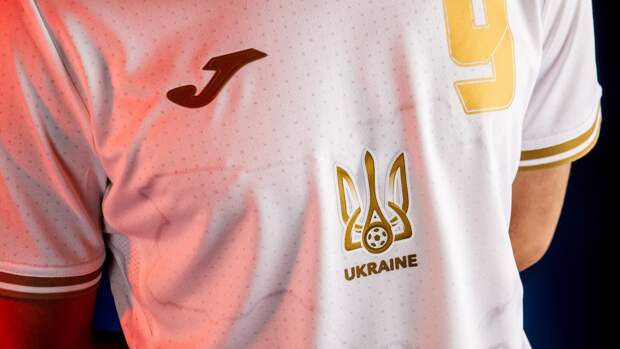В Госдуме пообещали найти деньги для Украины на замену футбольной формы