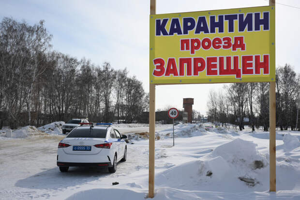 Губернатор Травников: почти 190 семей в Новосибирской области лишились скота