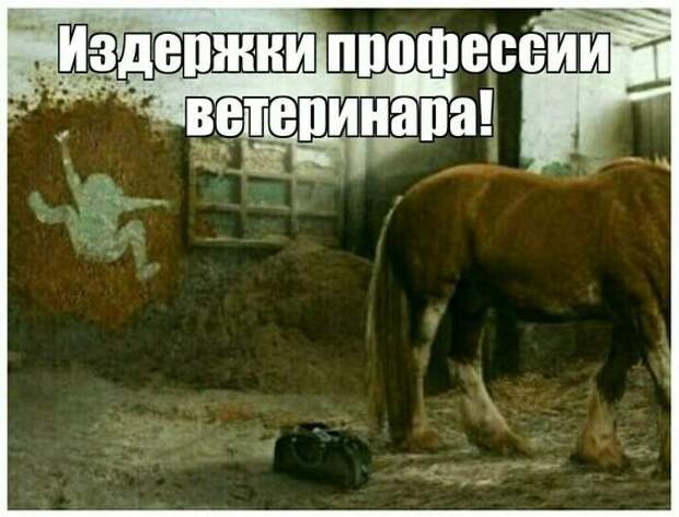 Ржачные до слез свежие картинки с надписями (вторник)