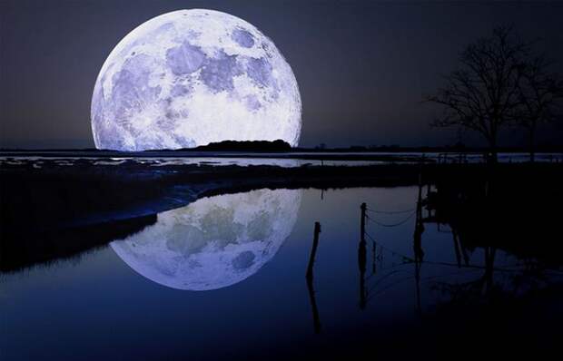 Ежегодно Луна удаляется от Земли на 4 сантиметра.