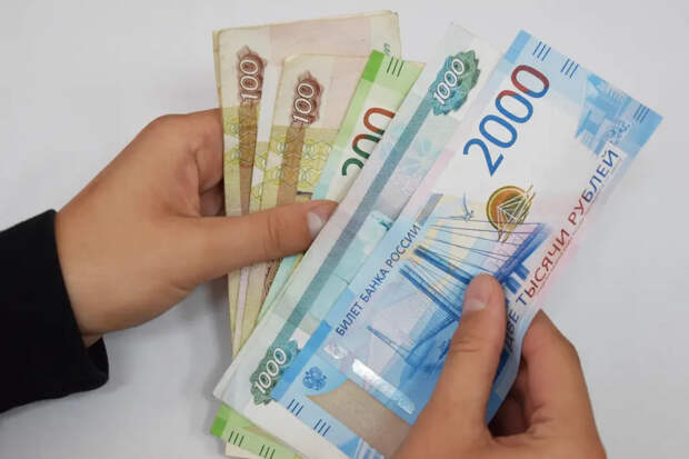 В Новосибирской области пересмотрят выплаты единого пособия многодетным семьям