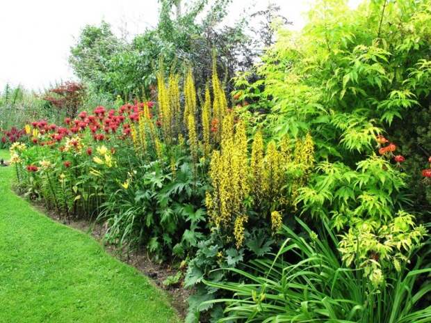 Главные составляющие английского миксбордера – сочетание дикорастущих и садовых растений.