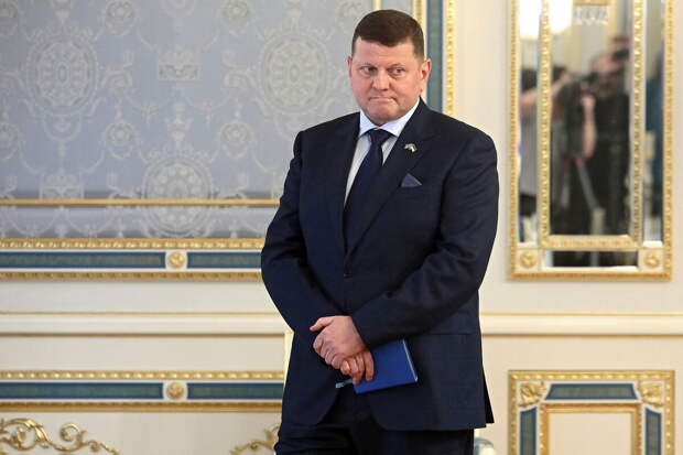 Дотком: Запад хочет, чтобы Залужный заключил фиктивное перемирие с Россией