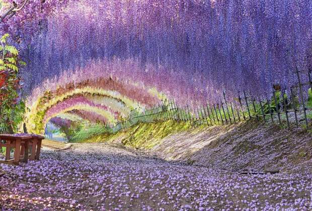 Япония славится своими парками, которые считаются одними из самых красивых в мире