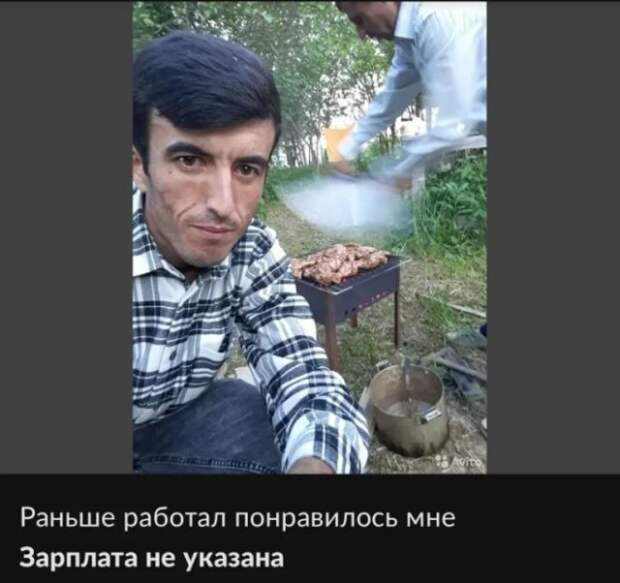 Нелепые и смешные резюме в Интернете