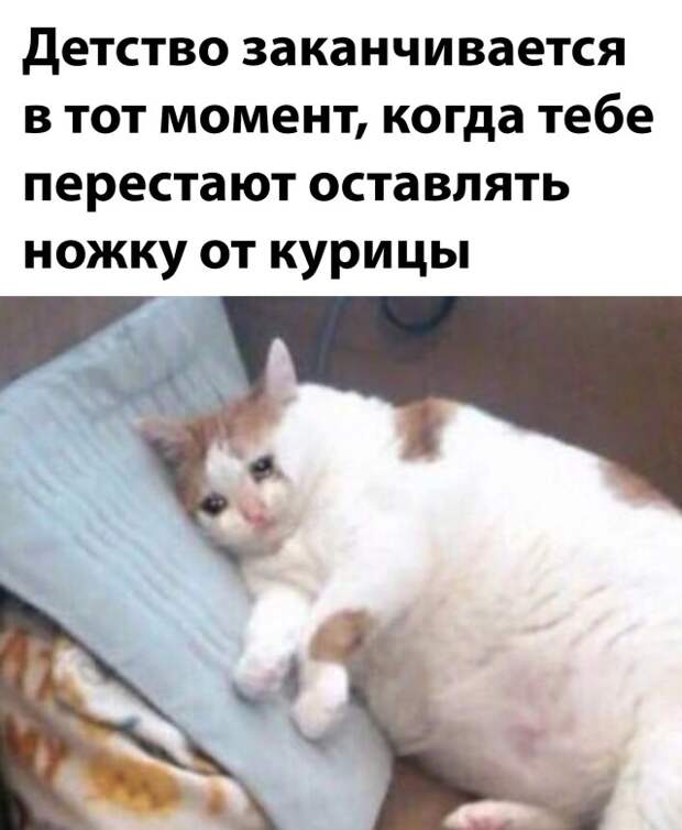 Смешные картинки 26 января 2022 года