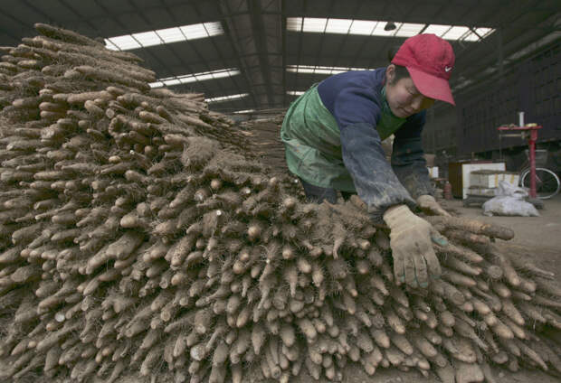 Фермер сделал жуткую находку во время работ на участке