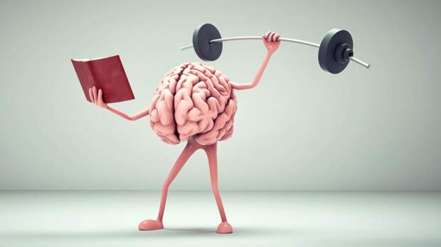 Ученые назвали возраст, когда человеческий мозг достигает пика активности