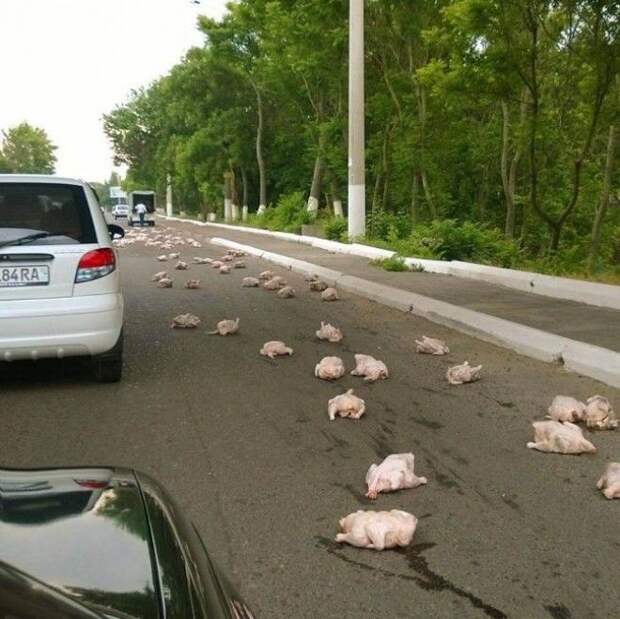 SBСлучаи когда удача повернулась к людям явно не передом
