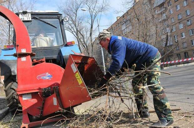 Запланирован в том числе и вывоз мусора / Фото: районные-будни.рф