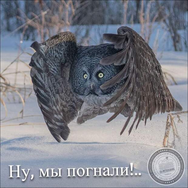 Ну, мы погнали!