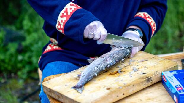 Фильм о ненцах ГТРК «Вектор» из Губкинского взял специальную премию «ТЭФИ-Регион»