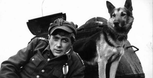 Золотой фонд отечественного кинематографа: Лучшие военные сериалы советского времени