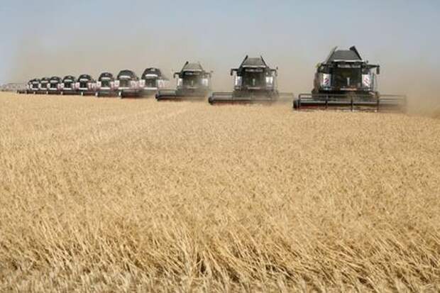 Combines harvest wheat in a field outside the settlement of Terskiy in Stavropol region, Russia July 7, 2020. REUTERS/Eduard Korniyenko