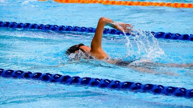 Пловец / Фото: Marcus Ng / unsplash.com