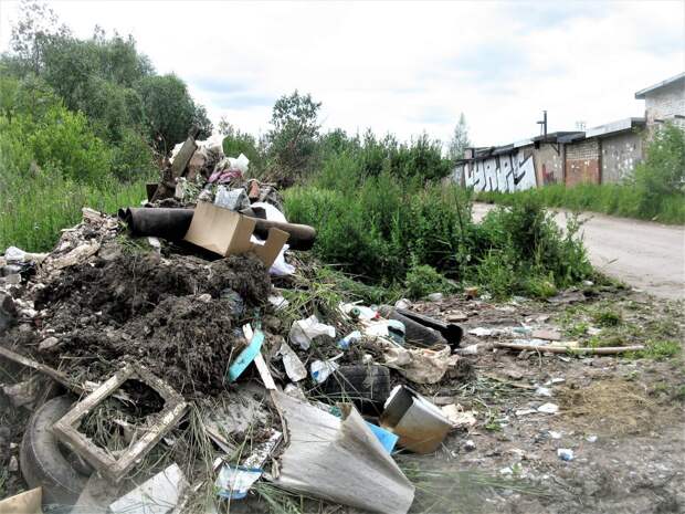 В Маловишерском районе за несвоевременный вывоз мусора оштрафован сотрудник ООО «Экосити»