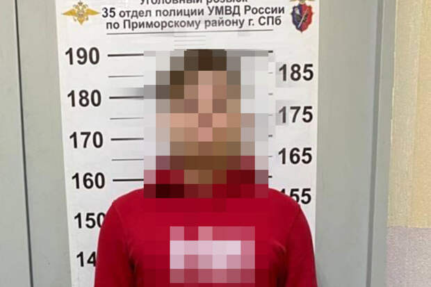 Пропавший подросток стал пособником мошенников и совершил кражу в Петербурге