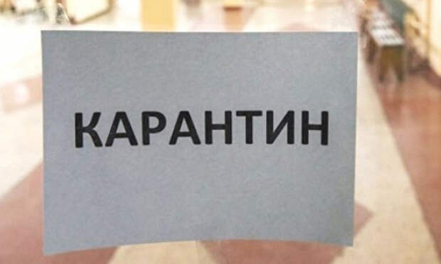 Карантин/ Фото: moscow.er.ru